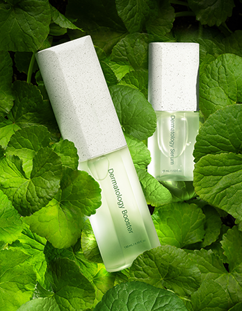 Dermatology First Package EX 4